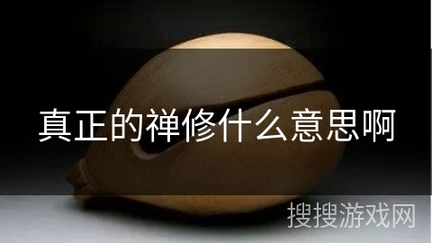 真正的禅修什么意思啊