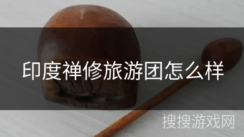 印度禅修旅游团怎么样