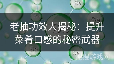 老抽功效大揭秘：提升菜肴口感的秘密武器