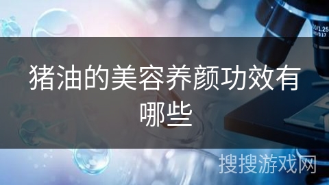 猪油的美容养颜功效有哪些