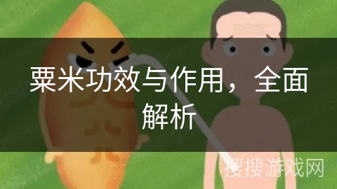粟米功效与作用，全面解析