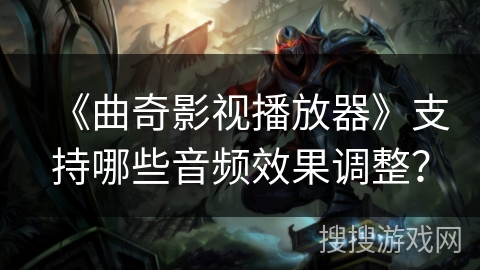 《曲奇影视播放器》支持哪些音频效果调整？