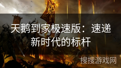天鹅到家极速版：速递新时代的标杆