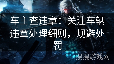 车主查违章:关注车辆违章处理细则,规避处罚 车主查违章:关注车辆违章处理细则,规避处罚