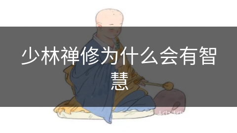 少林禅修为什么会有智慧 少林禅修为什么会有智慧