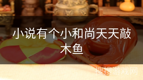 小说有个小和尚天天敲木鱼 小说有个小和尚天天敲木鱼