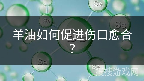 羊油如何促进伤口愈合?
