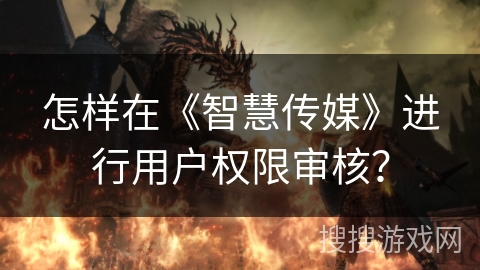 怎样在《智慧传媒》进行用户权限审核？