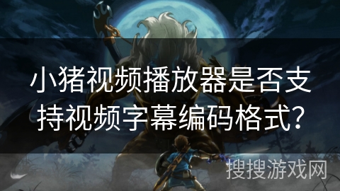 小猪视频播放器是否支持视频字幕编码格式? 小猪视频播放器是否支持视频字幕编码格式?