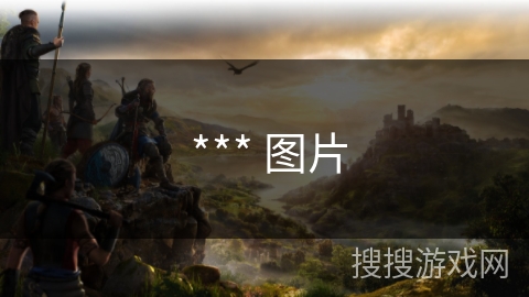  *** 图片