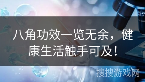 八角功效一览无余,健康生活触手可及!