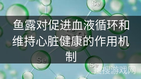 鱼露对促进血液循环和维持心脏健康的作用机制