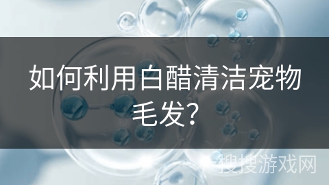 如何利用白醋清洁宠物毛发?