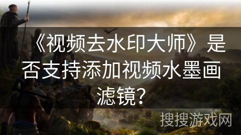 《视频去水印大师》是否支持添加视频水墨画滤镜? 《视频去水印大师》是否支持添加视频水墨画滤镜?