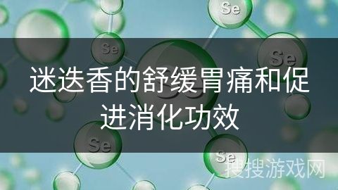 迷迭香的舒缓胃痛和促进消化功效