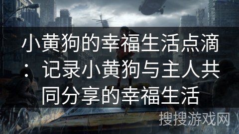 小黄狗的幸福生活点滴:记录小黄狗与主人共同分享的幸福生活 小黄狗的幸福生活点滴:记录小黄狗与主人共同分享的幸福生活