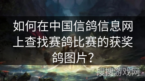 如何在中国信鸽信息网上查找赛鸽比赛的获奖鸽图片？