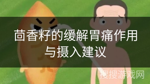 茴香籽的缓解胃痛作用与摄入建议