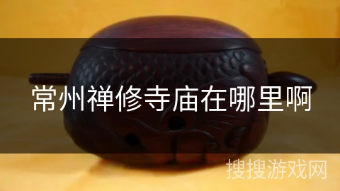 常州禅修寺庙在哪里啊 常州禅修寺庙在哪里啊