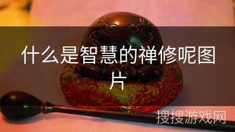 什么是智慧的禅修呢图片