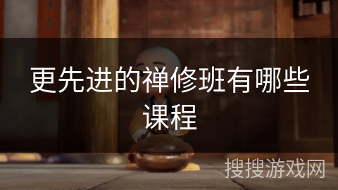 更先进的禅修班有哪些课程 更先进的禅修班有哪些课程