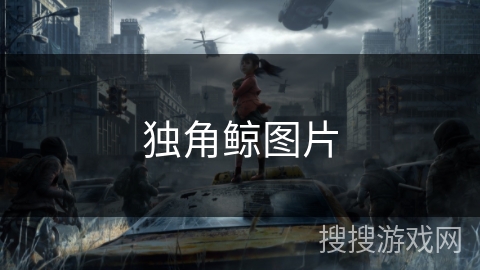 独角鲸图片 独角鲸图片