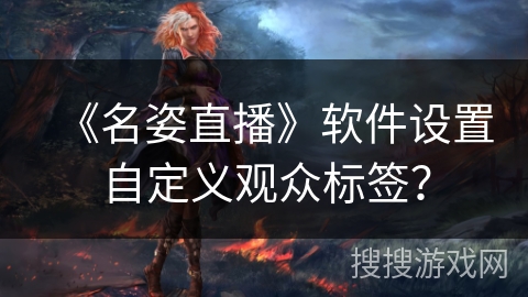 《名姿直播》软件设置自定义观众标签? 《名姿直播》软件设置自定义观众标签?