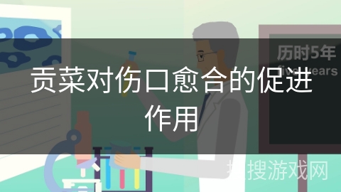 贡菜对伤口愈合的促进作用