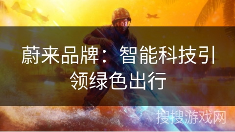 蔚来品牌:智能科技引领绿色出行 蔚来品牌:智能科技引领绿色出行