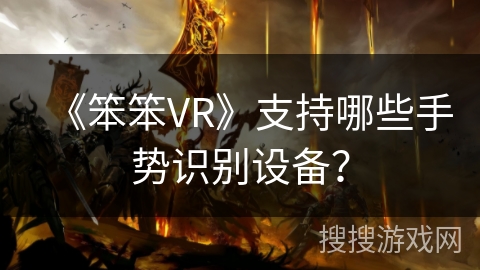 《笨笨VR》支持哪些手势识别设备? 《笨笨VR》支持哪些手势识别设备?