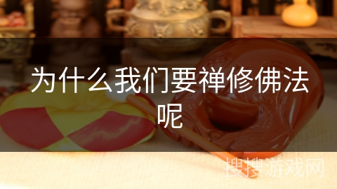 为什么我们要禅修佛法呢 为什么我们要禅修佛法呢