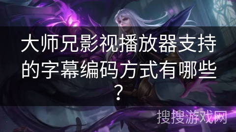 大师兄影视播放器支持的字幕编码方式有哪些？