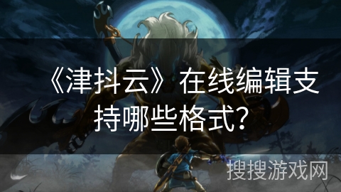 《津抖云》在线编辑支持哪些格式？