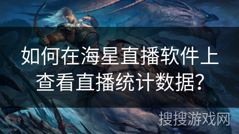 如何在海星直播软件上查看直播统计数据？