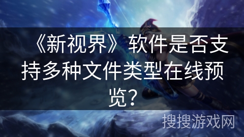 《新视界》软件是否支持多种文件类型在线预览？