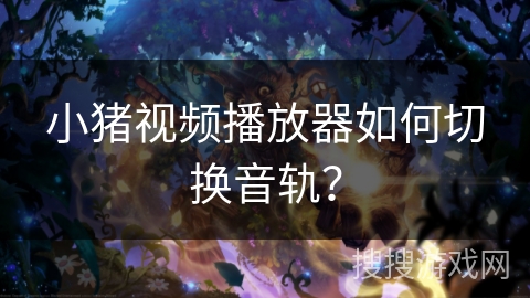 小猪视频播放器如何切换音轨？