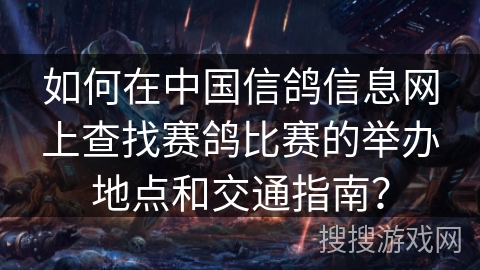 如何在中国信鸽信息网上查找赛鸽比赛的举办地点和交通指南？