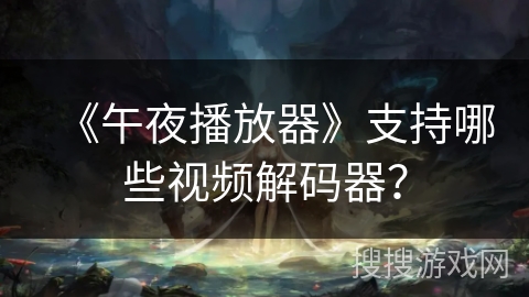《午夜播放器》支持哪些视频解码器？
