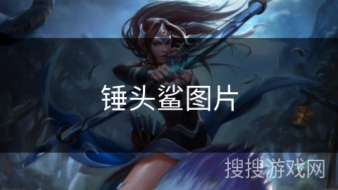 锤头鲨图片 锤头鲨图片