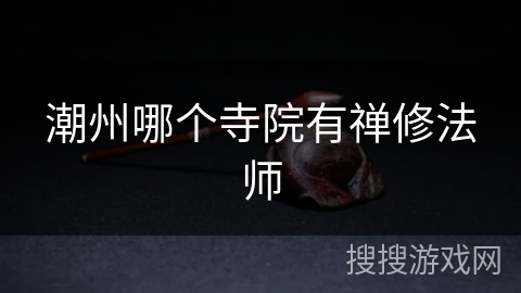 潮州哪个寺院有禅修法师 潮州哪个寺院有禅修法师