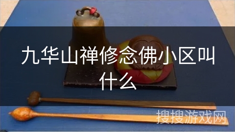 九华山禅修念佛小区叫什么