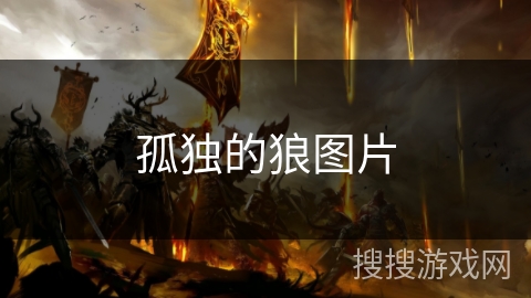 孤独的狼图片 孤独的狼图片