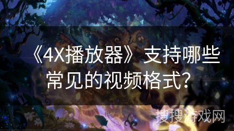 《4X播放器》支持哪些常见的视频格式？