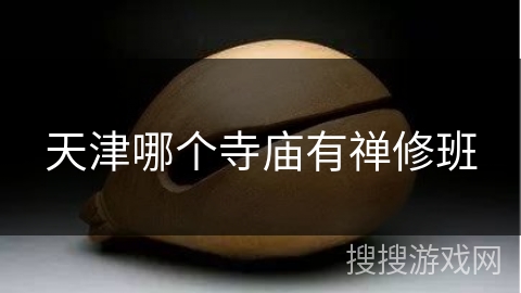天津哪个寺庙有禅修班 天津哪个寺庙有禅修班