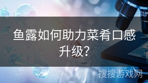 鱼露如何助力菜肴口感升级?
