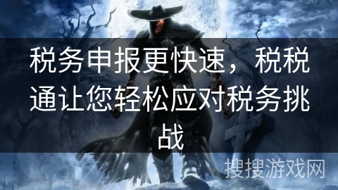 税务申报更快速，税税通让您轻松应对税务挑战