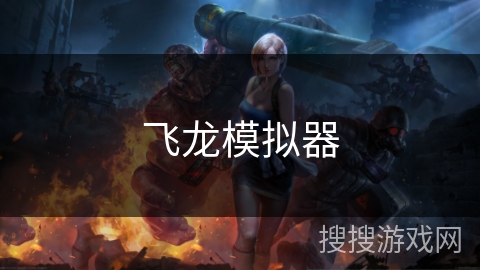 飞龙模拟器