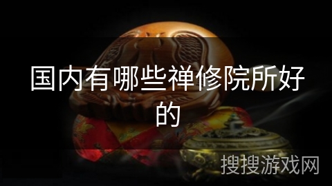 国内有哪些禅修院所好的 国内有哪些禅修院所好的