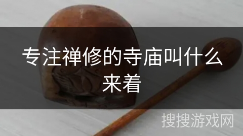 专注禅修的寺庙叫什么来着