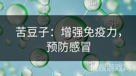 苦豆子：增强免疫力，预防感冒
